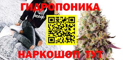 мет Новозыбков