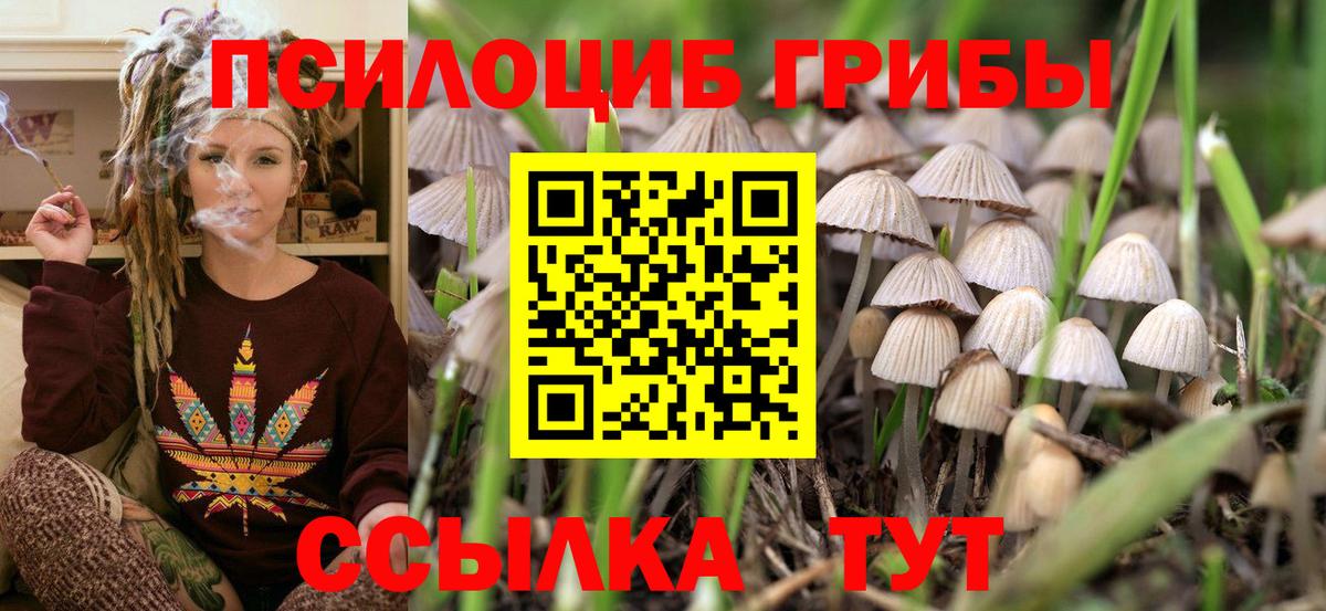 Тайшет  Галлюциногенные грибы мухоморы  Вход с VPN 