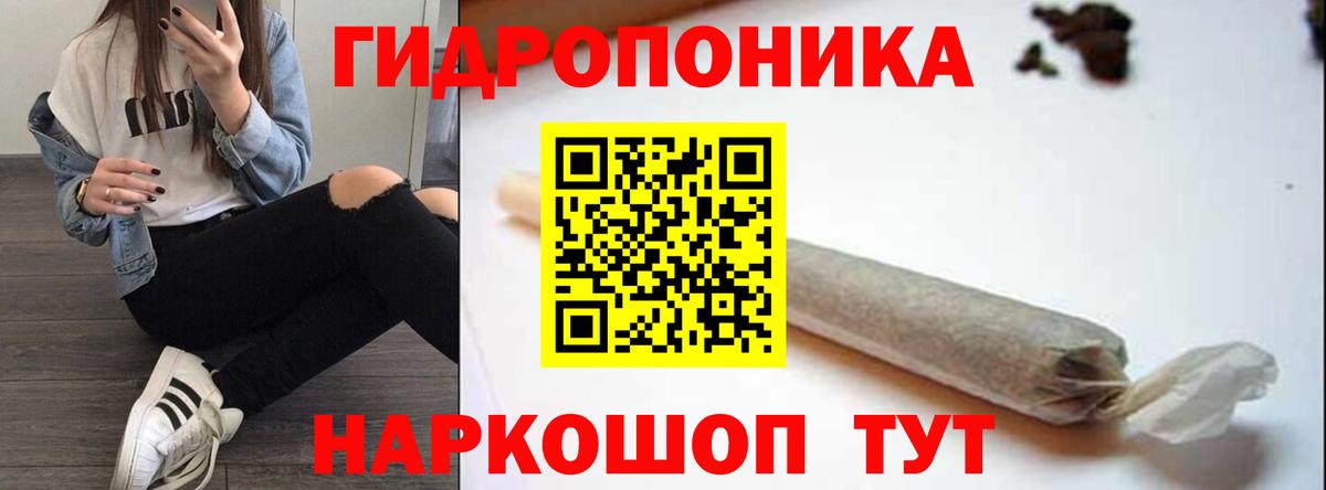 Конопля планчик Тайшет